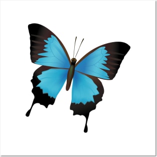 Blue Butterfly Posters and Art